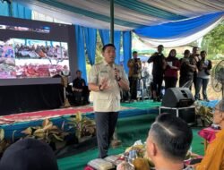 Hadapi Elnino, Pemerintah Tanam Padi Serentak di 16 Provinsi