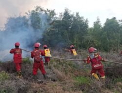 Karhutla di Riau, Pemadaman Difokuskan Cegah Api Dekati Permukiman