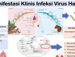 Kemenkes Tekankan Empat Tahap Kesiapsiagaan Hadapi Hantavirus